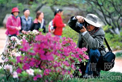 杜鹃花展期间,公园门票价格不变