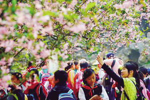 家庭出游能取代学校春游吗