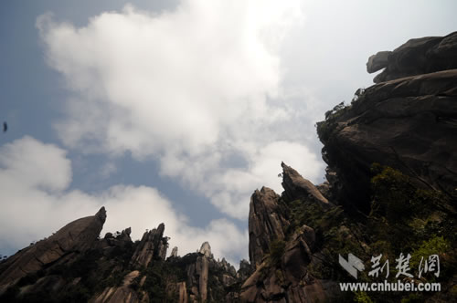 仙山福地天下无双走进江西三清山才知不虚此行