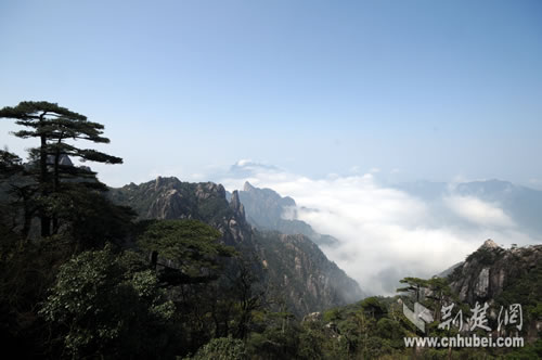 仙山福地天下无双走进江西三清山才知不虚此行