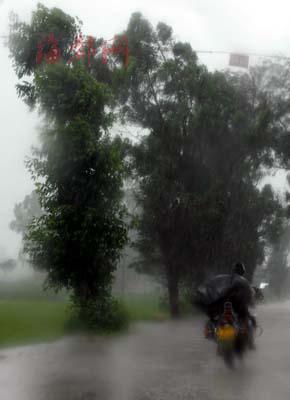 昨日下午,惠安风雨大作,车辆艰难前行