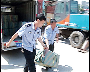 三万只青蛙机场获救