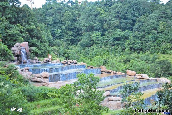 海网三周岁组织大型网友活动 结伴游金光湖快