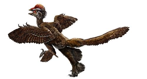 辽宁发现世界最早带毛恐龙化石