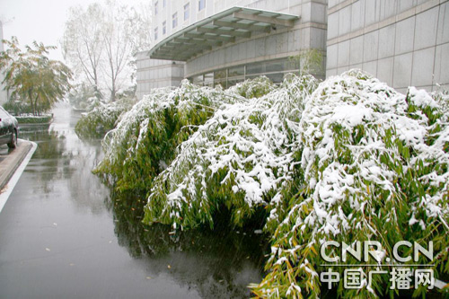 北京大雪后第一天 地铁航班运行顺利