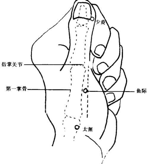 禅一谈养生(穴位)-冬天感冒搓鱼际_禅一