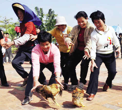 八人同追鸡 捉到归自己_新闻中心_新浪网