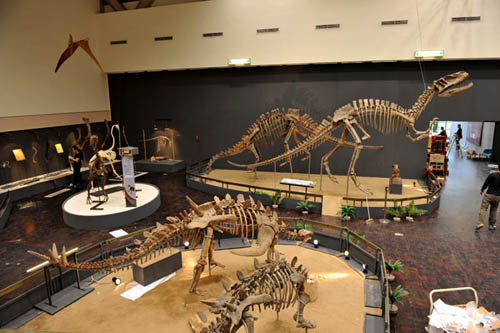 发现侏罗纪-自贡恐龙博物馆大展首次亮相台湾