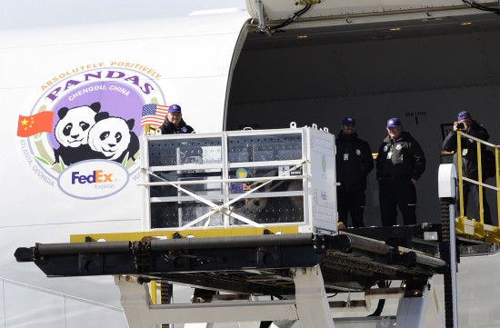 ��������è̩ɽ���̻ع�(��ͼ)