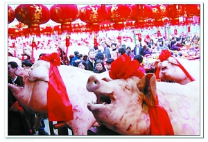 猪价长期在低谷徘徊产能调控一再启动业内：2026年或是行业“洗牌年”