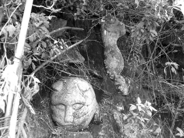 诏安发现古代石雕群