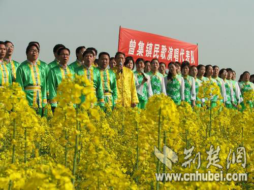 沙洋油菜花旅游节 百名民间歌手花海对唱