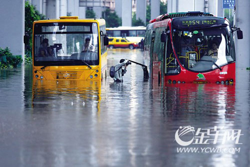 广州市市长就降雨后道路积水向市民道歉
