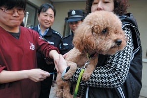 养犬集中年检登记今开始_新闻中心__18958创