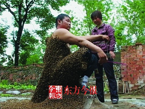 蜂拥而至95分钟胖了50斤 蜂农成了兵马俑