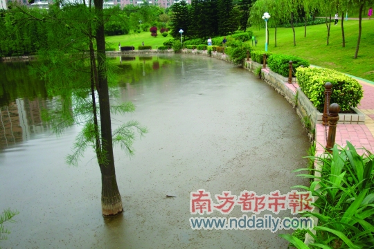 龙潭公园湖面有污物 龙岗水务局称在制订区域