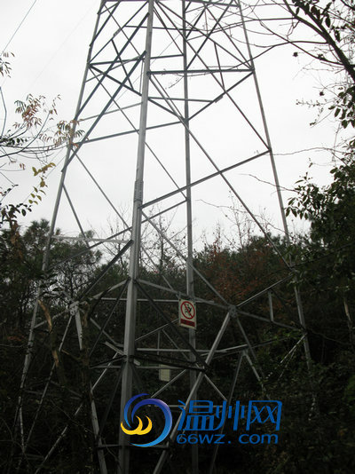 高压线路塔料被盗温州电力及时消缺保安全