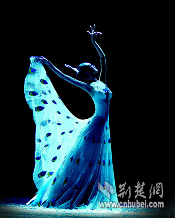 杨丽萍心中的《云南映象》：舞出未经雕琢的纯朴