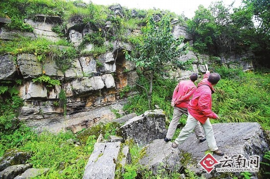 昆明沙朗发现神秘“古石墙”长达百余米高约10米