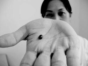 遭蜱虫咬感染怪病河南山东19人身亡