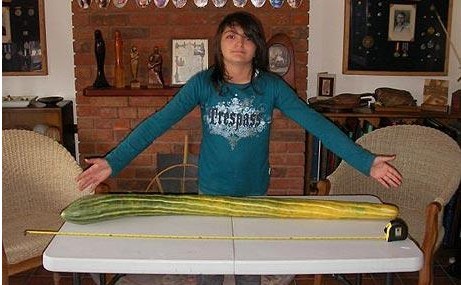 英国一妇女种出世界上最长黄瓜总长51英寸