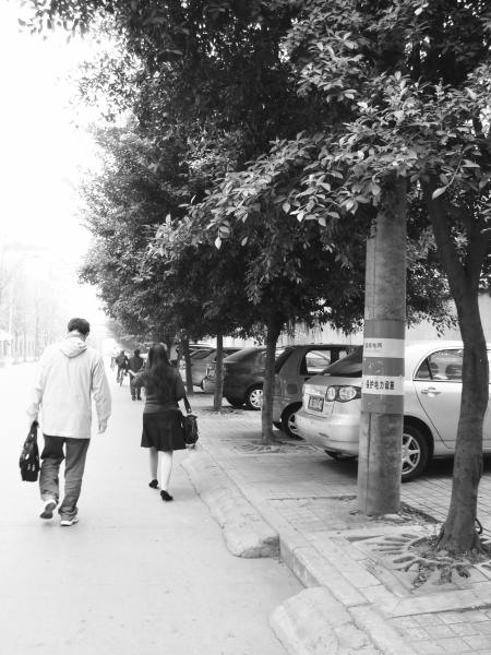 车停人行道行人走马路