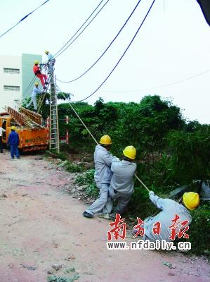 调查:电力设施缘何频繁被盗