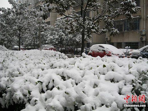 ����17����ӭ������һ����ѩ�������������� ��