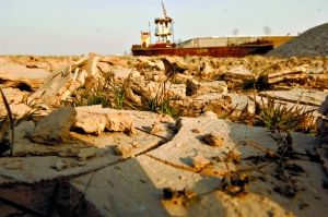 在山东菏泽市牡丹区，麦田因大旱龟裂（1月23日摄），市场担心减产会导致粮价上涨。新华社记者 郭绪雷 摄