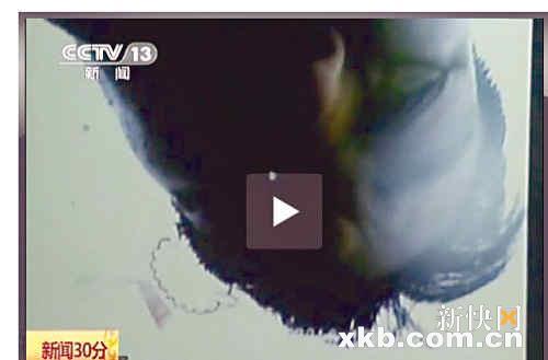 钱云会案肇事司机判刑三年半