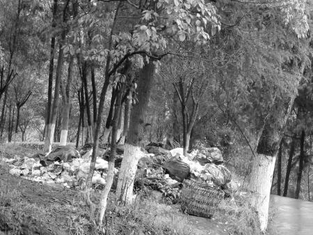 16���˵Ƿ��ɽ��������200����ɨ����