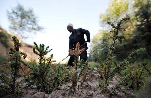 宁夏十一五累计完成水土流失治理5240平方公
