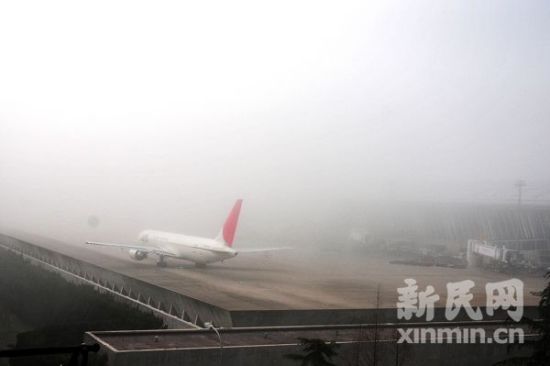 大雾致上海浦东机场航班大面积延误_新闻中心