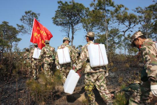 保山隆阳区3·08森林火灾明火基本扑灭