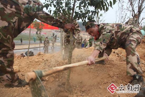 云南消防800官兵小石坝山头种树1000棵妆点家园