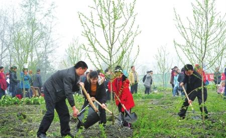 种下“华西报读者认养林”150市民寄语亲情友情爱情