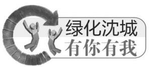 认养绿地，“主人”开行动