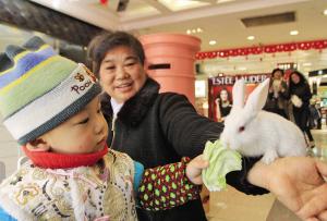 兔子急了也会咬人 万一被咬要打狂犬病疫苗_新