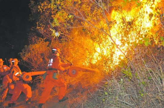 攀枝花金江镇发生森林火灾_新闻中心_新浪网