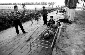 昨日，大兴区庞各庄一处西瓜摊前，瓜农守摊聊天。受“西瓜爆炸”事件影响，西瓜销量锐减。本报记者 杨杰 摄