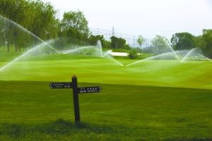 5月26日，北京清河湾高尔夫俱乐部。本报记者 薛珺 摄 