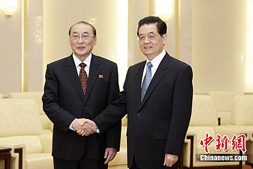 7月11日，中国国家主席胡锦涛在北京人民大会堂会见朝鲜最高人民会议常任委员会副委员长杨亨燮。中新社发 盛佳鹏 摄