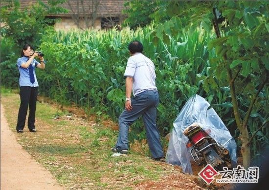 ����һ��4�ڲ�������һ�꼶����Ҳδ�����Ѻ���
