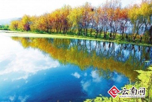 云南网专稿：铁腕治污5年后滇池水更清