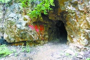 ���Խ�С�������Ʋ�ҵ����