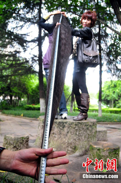 15年蓄发2.3米 <em>长度</em>超过姚明<em>身高</em>_新闻中心_新