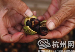 油茶古道上卖油翁们拥有了什么新懊悔