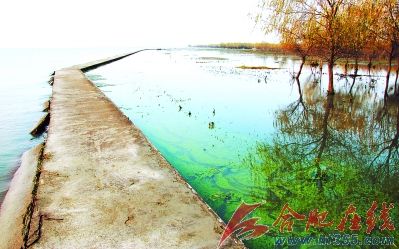 ○湿地内成了一片汪洋