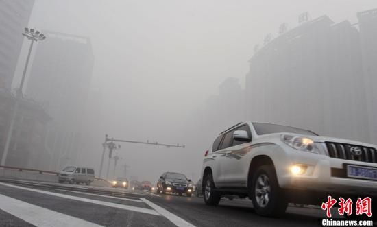 ͼΪʯ��ׯ��������·�ܼ�����50�����ң����������н��������緢 ����� ��