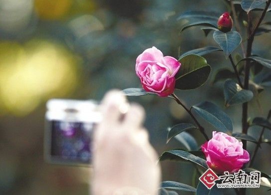 �����ڼ�ȥ����Ͱ�Ķɽ��